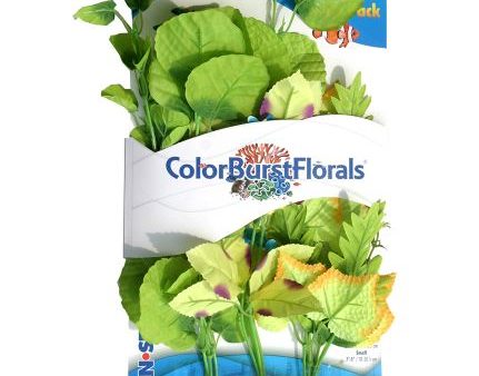 Blue Ribbon Vibran-Sea Color Burst Florals Broad Leaf Flowering Cluster Variety Pack Sale