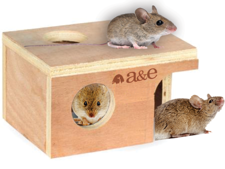 A & E Cage Pet Hut Hideouts Small Mouse Hut Hot on Sale